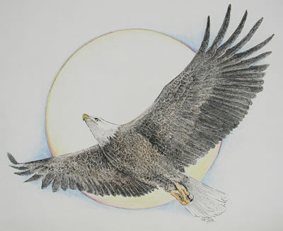 Soaring Eagle Print