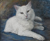 Cat, Pastel