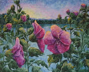 Holly Hock, 56 x 60, Acrylic