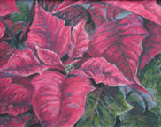 Poinsetta, 8 x 10, Pastel